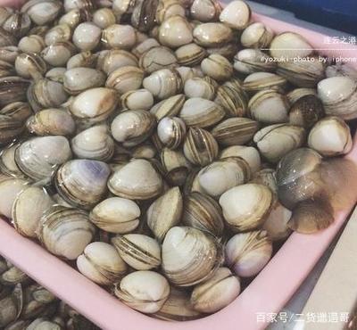 连云港哪里吃海鲜便宜又实惠本地人推荐