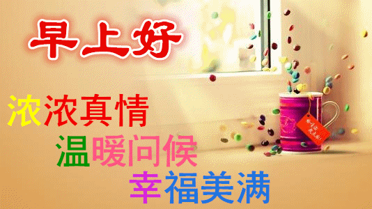 日常好物推荐语录